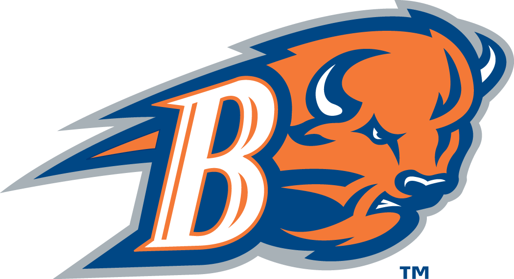 Bucknell Bison 2002-Pres Alternate Logo v2 diy DTF decal sticker